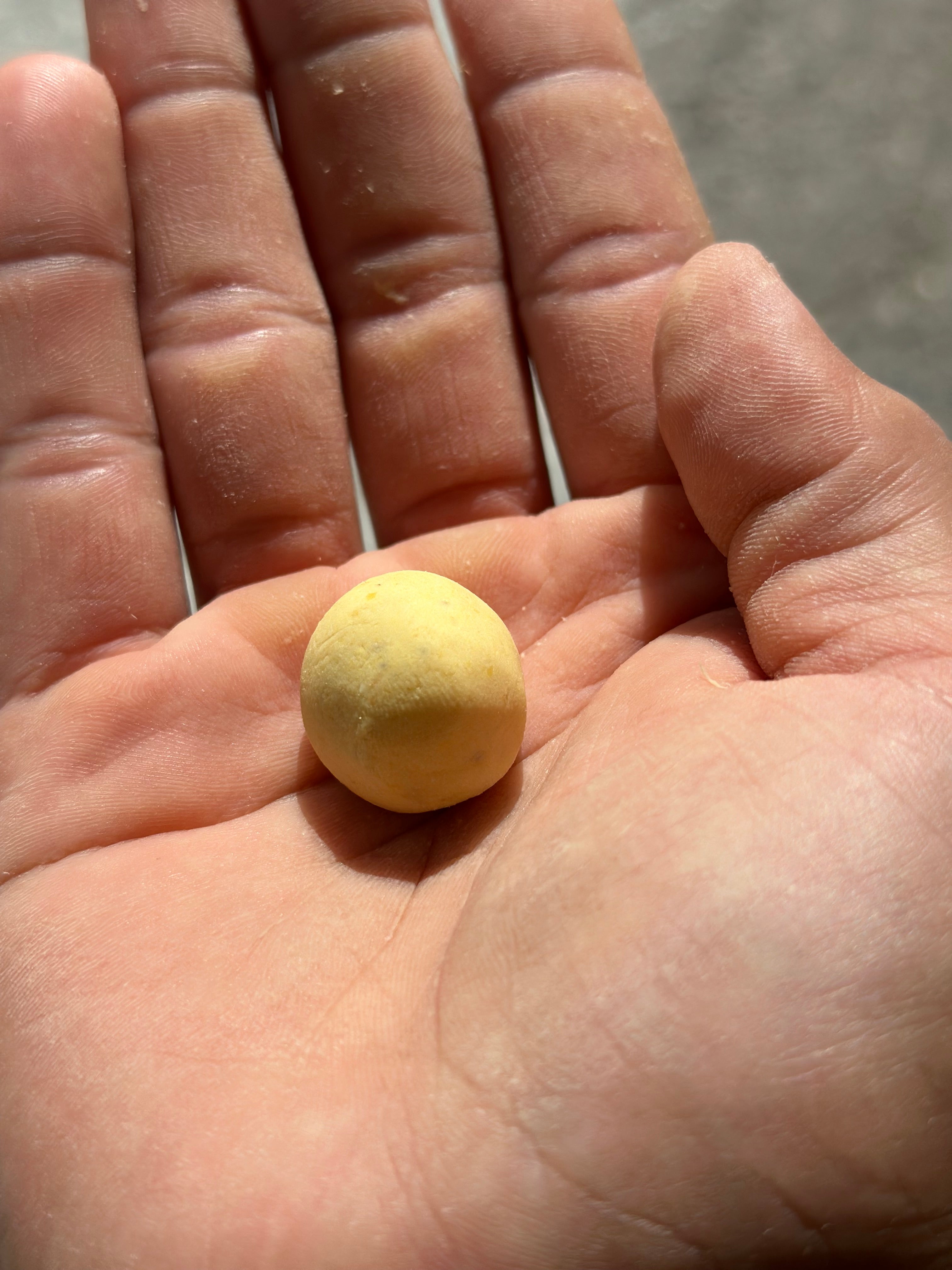 Fresh Nixtamalized Masa – La Cosecha Tortilla Company