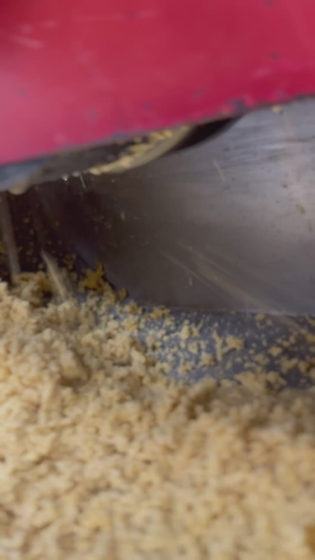 Fresh Nixtamalized Masa – La Cosecha Tortilla Company